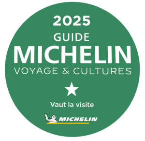 Logo Michelin 2